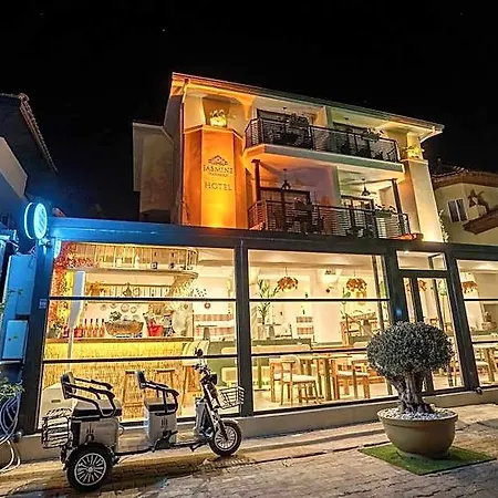 Hotel Arya